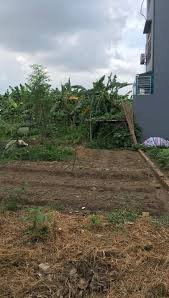 Bán  đất ÔTO đỗ cửa  vuông vắn như đất phân lô dự án ở Phạm Văn Đồng 